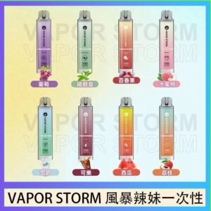 VAPOR STORM風暴辣妹一次性主機充電7500口（5%）
