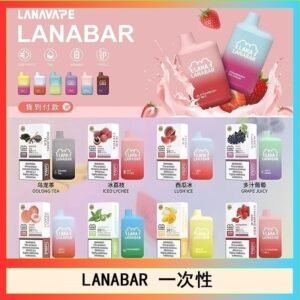 LANA BAR可充电一次性電子煙霧化5000口(3.0%)